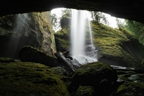 Shelter from the rain - Gifford Pinchot National Forest WA 