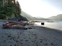 Shipwreck found in Kodiak Island Alaska history in the comments 