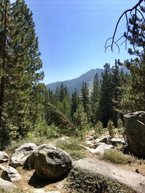 Shirley Canyon in the summer Squaw Valley Tahoe CA 