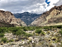 Shot from the car on the way to the Ice Box Canyon trail in Nevada 