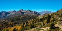 Shot in Autumn of last year in the Italian Alps South Tyrol Italy 