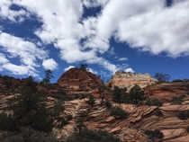 Side trail at Zion National Park 