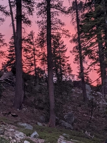 Sierra Navada CA USA sunset 
