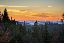 Sierra Sunset Stanislaus National Forest California 