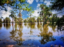 Silent Swamp Lake Martin Louisiana 