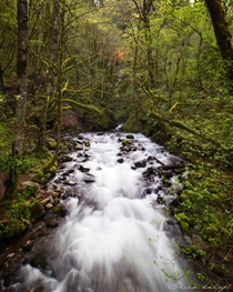 Silver creek in Silver Falls State Park Portland 