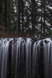 Silver Falls State Park OR 