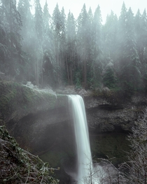 Silver Falls State Park Oregon was So BREATHTAKING I was SO thrilled and in awe seeing this scenery The clouds rolling in and all the mist was just stunningly beautiful 