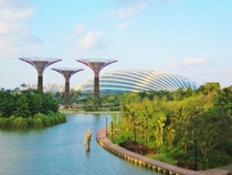Singapore Gardens by the Bay 