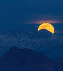 Single image of the wolf moon Phoenix AZ  OC alecoutside