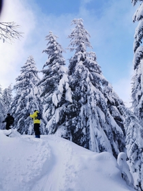 Ski touring in Le Lioran CANTAL France
