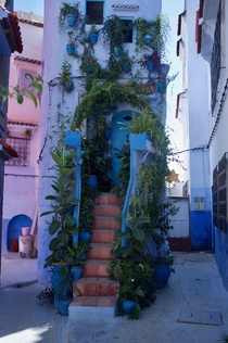 Skinny Blue House - Chefchaouen Morrocco