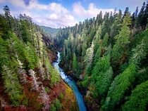 Skokomish river Washington state oc x