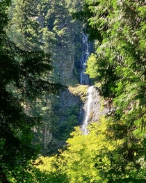Skookum Falls Rainier National Forest 