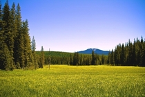 Skookum Meadow Gifford Pinchot National Forest Washington State     insta _baigmoradi_