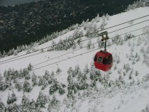 Skylift over snowy trees 
