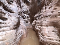 Slot Canyon in Valley of Fire NV - 