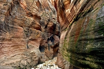 Slot canyon in Zion National Park Utah 
