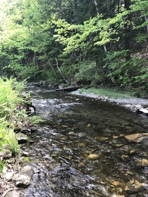 Small Creek in VT 