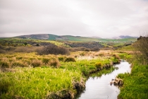 Small creek near Dingle Ireland x 