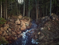 Small forest stream near Gvardeyskoe Russia 