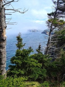 Small Point Newfoundland 