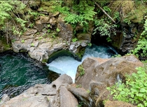 Small waterfall at Idleyld Park Oregon x 