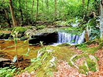 Small waterfall in the emerald green woods of the Quehanna Wild Area - Driftwood PA 