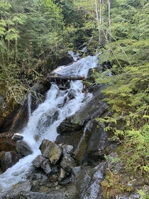 Small waterfall off the Ira Spring Trail outside North Bend WA 