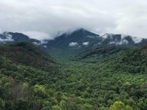 Smoky Mountains near Gatlinburg TN 