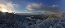 Snow at sunrise in the Santa Cruz Mountains  x  