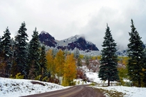 Snow Blasted Autumn in the Colorado Rockies  x-post rAutumnPorn