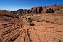 Snow Canyon State Park UT 