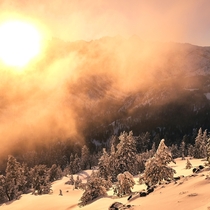 Snow embers in the High Sierra Ansel Adams Wilderness California 