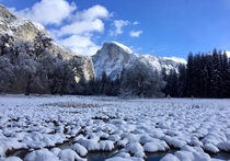 Snow Field in Yosemite Valley  X