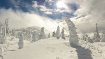 Snow ghosts at Big White Canada 