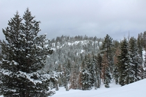 Snow Mountain Range North Tahoe 