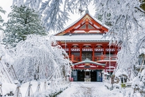 Snow on the Natadera Temple in Japan  by Anderson Sato