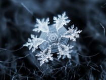 Snowflake 