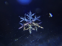 Snowflake at Night 