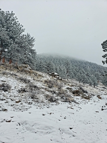 Snowy Day at Rocky Mt National Park 