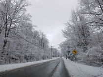 Snowy day outside Buffalo NY