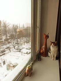 Snowy Kyiv outside cozy cat collection inside