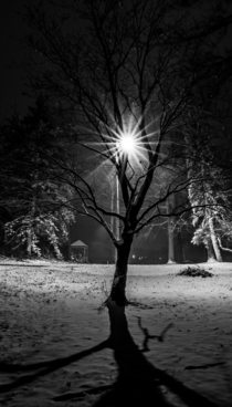 Snowy night in Michigan