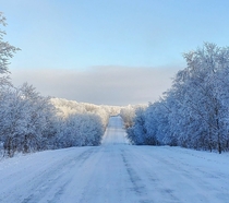 Snowy road Dreamy