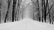 Snowy road in forest 