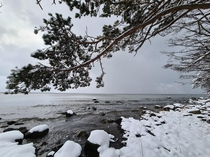 Snowy seaside Estonia Padise 