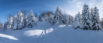 snowy Winter Day in Black Forest OC 