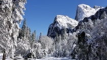 Snowy Yosemite 