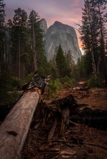 So beautiful in Yosemite National Park 